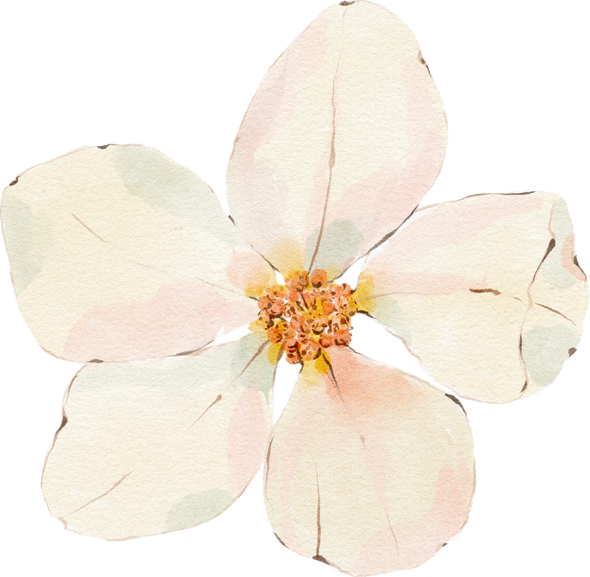 Watercolor white flower